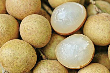 Longan